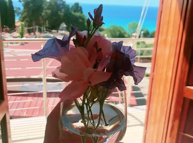 Lejlighed Stars Tropea